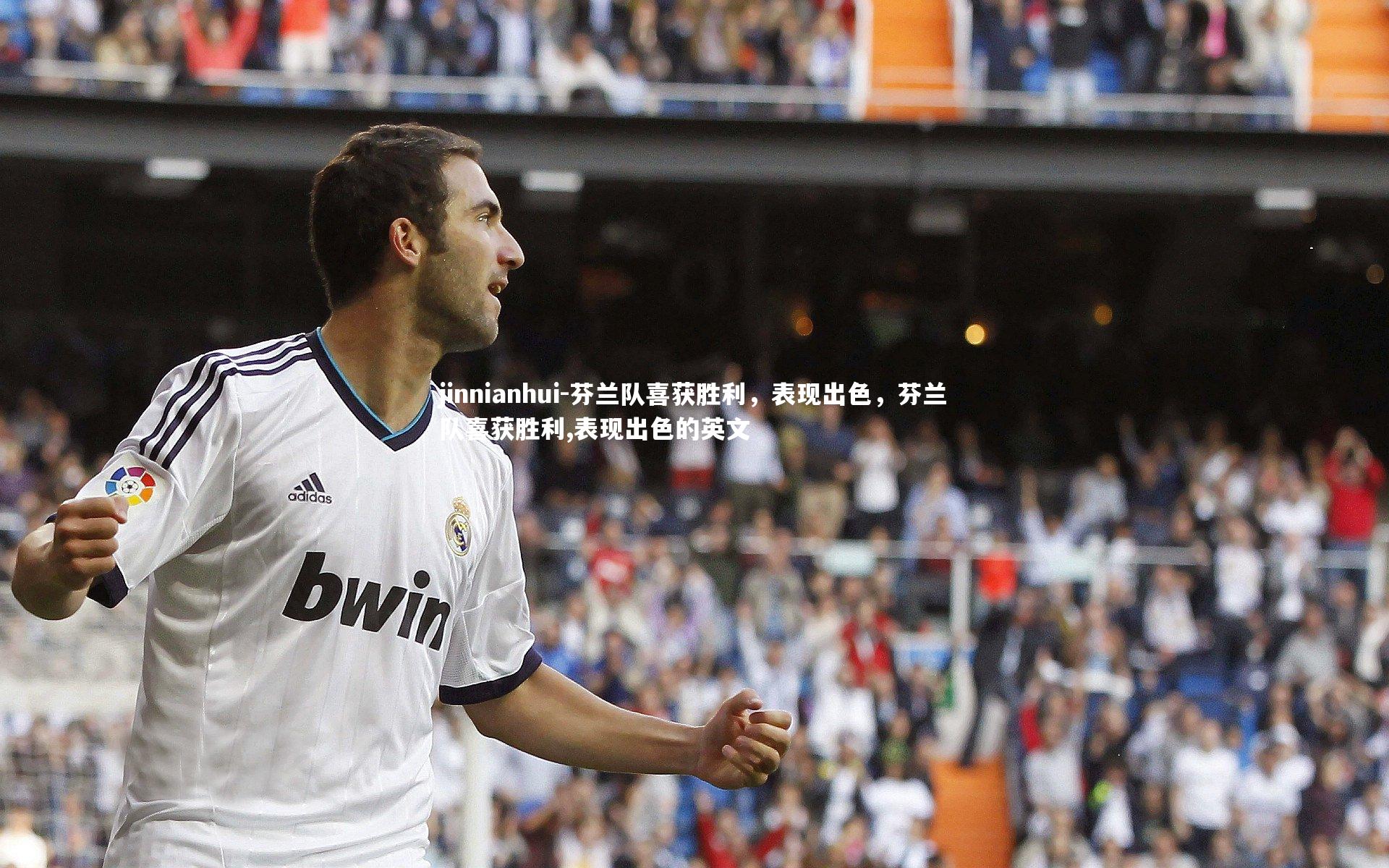 jinnianhui-芬兰队喜获胜利，表现出色，芬兰队喜获胜利,表现出色的英文