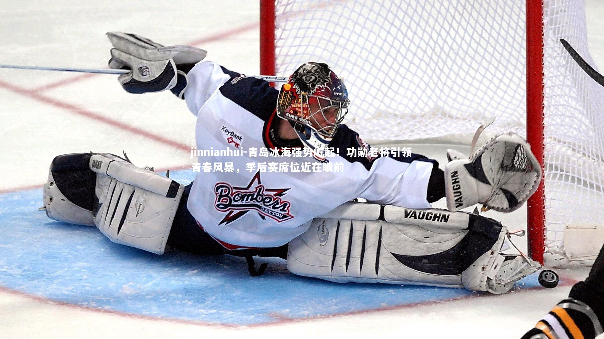 jinnianhui-青岛冰海强势崛起！功勋老将引领青春风暴，季后赛席位近在眼前